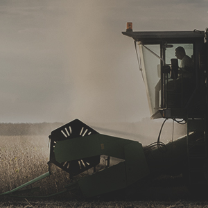side view soybean harvest